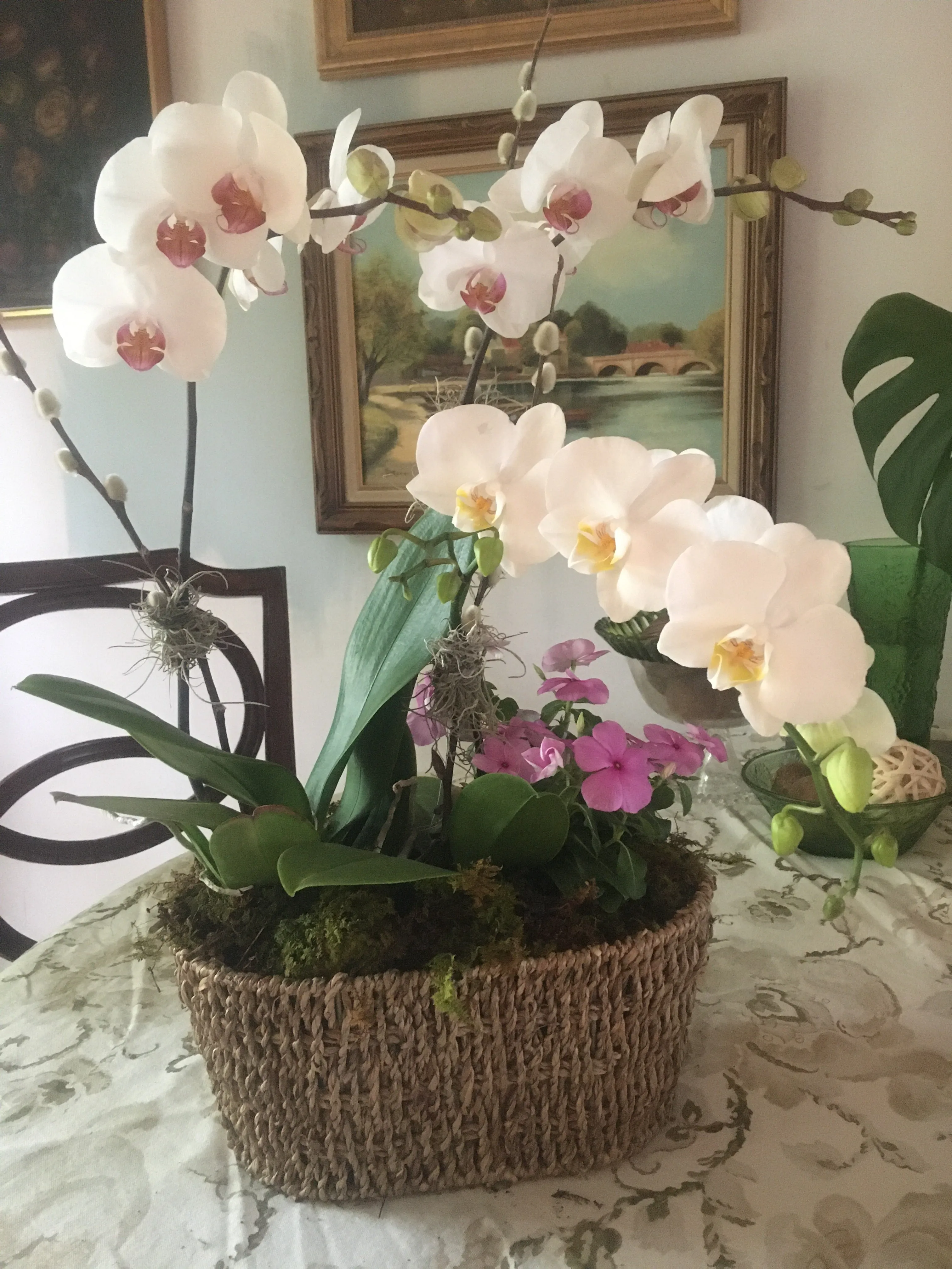 Orchid Planter