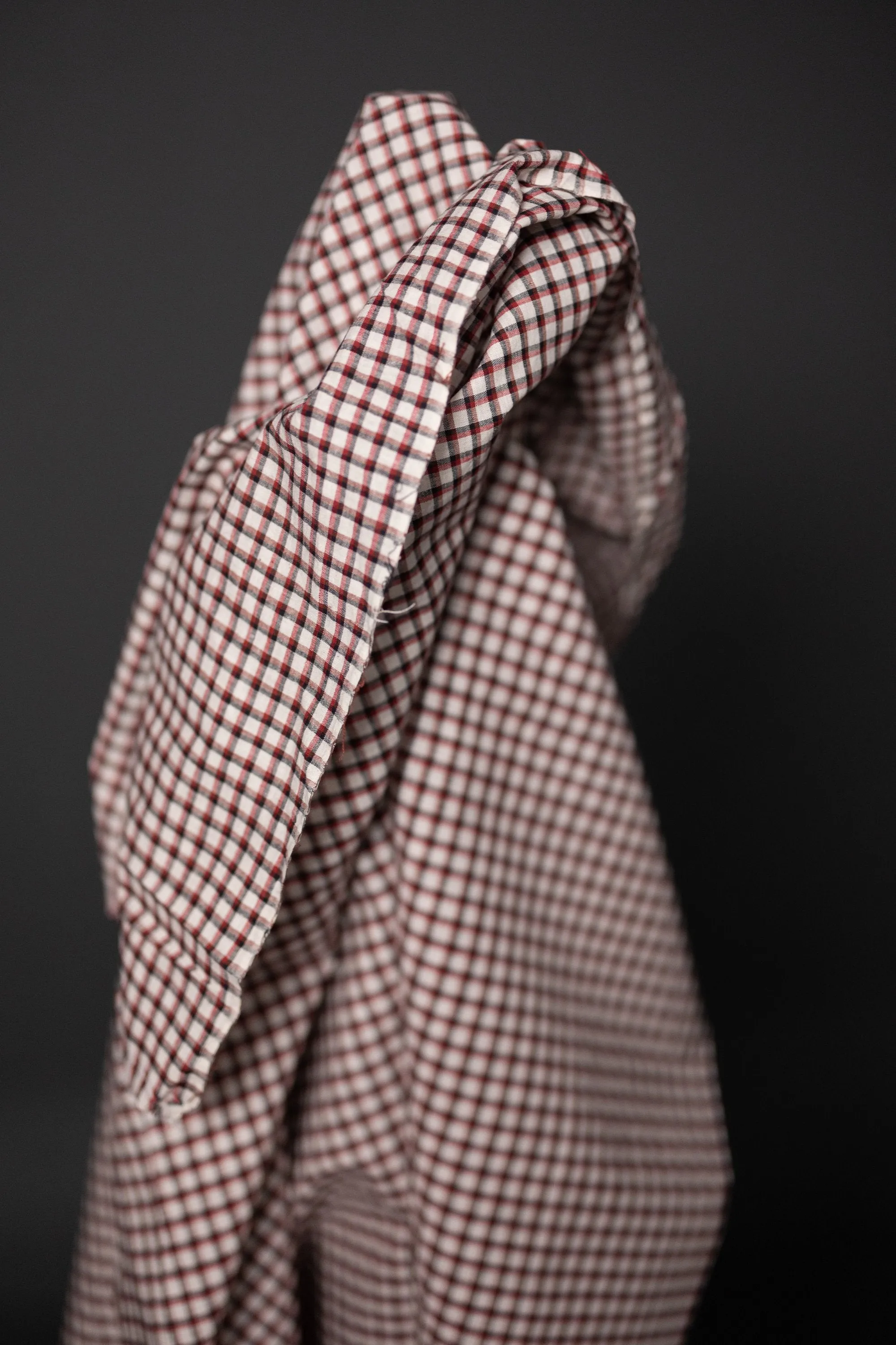 Prairie Check - Indian Cotton