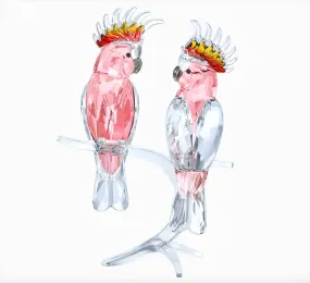 Swarovski Large Crystal Figurine PINK COCKATOOS - 5244651